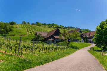 Fototapeta na wymiar The House in the Hills Schwarzwald, Sasbachwalden, Germany