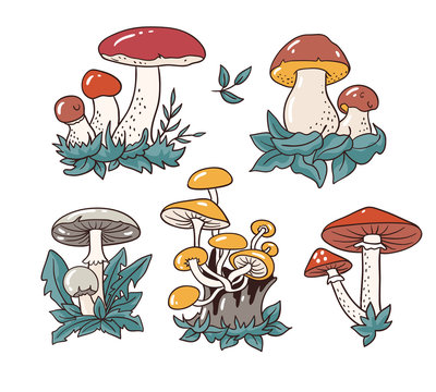 Hand drawn set with cartoon mushroom and toadstools. Vector illustration - isolated objects on the white background .