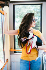 Beautiful young woman standing in city bus with her jack russell terrier.  © hedgehog94