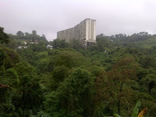 Edificios y vegetacion