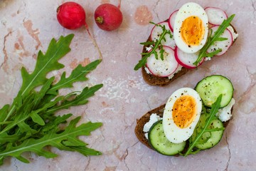 Bread with cucumber and radish