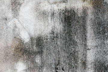 Fototapeta premium white concrete wall texture