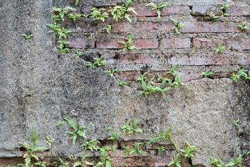 cracked concrete vintage brick wall background