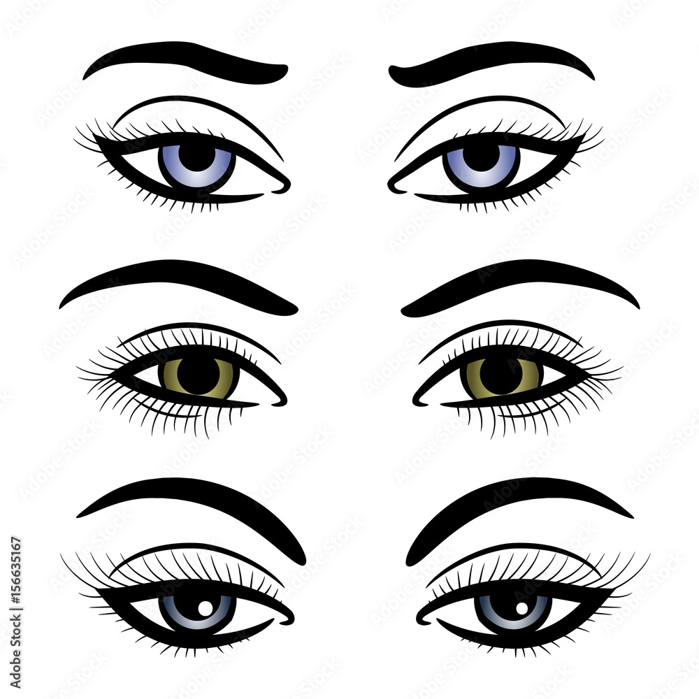 Wall mural colorful female eyes and brows isolated on white background. vector illustration