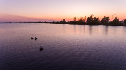 Sunset With Ducks