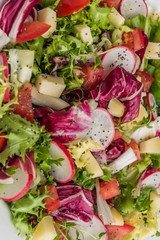 Fresh salad with mixed greens, radish, cheese and tomato. Italian Mediterranean or Greek cuisine. Vegetarian vegan food