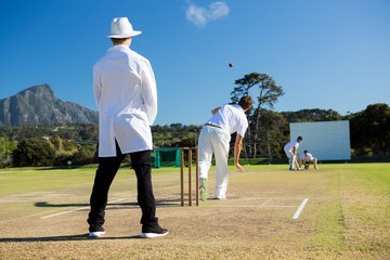 Team playing cricket on pitch against sky