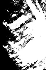 Obraz premium Black and white