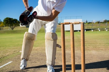Low section of wicket keeper standing by stumps during match - obrazy, fototapety, plakaty