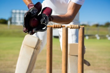 Cropped image of wicket keeper standing by stumps - obrazy, fototapety, plakaty