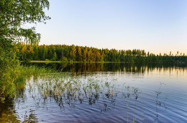 Evening view of the lake in calm weather. In the foreground there is grass.