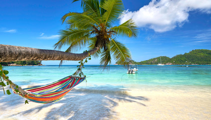Plakat exotischer Strand - Seychellen