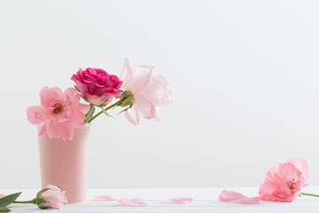 pink roses on white background