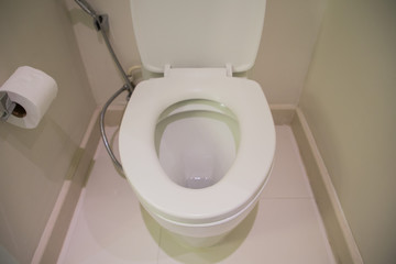 White toilet bowl in the bathroom.