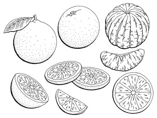 Orange Frucht Grafik schwarz weiß isoliert Skizze Illustration Vektor © aluna1
