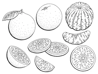 Orange Frucht Grafik schwarz weiß isoliert Skizze Illustration Vektor © aluna1