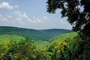 Fototapeta premium Mountain landscape, wonderful forest on Mount germinating