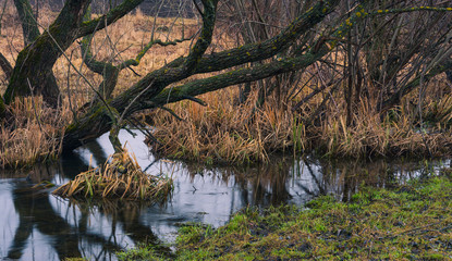 Small river among fields in early spring