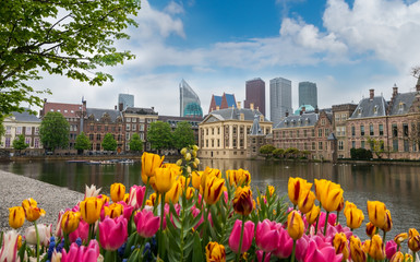 Binnenhof parliament and  Mauritshuis museum with modern skyscrapers and Hofvijver lake,  the Hague, Den Haag, Netherlands