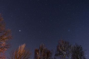 Naklejka premium beautiful night sky, the Milky Way and the trees