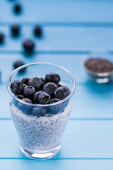 Freshly picked blueberries in milk yogurt with chia seeds