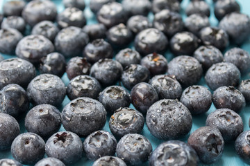 Freshly picked blueberries background