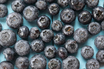 Freshly picked blueberries background