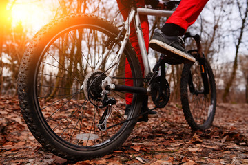 low angle view of cyclist riding mountain bike on trail at sunrise in the forest