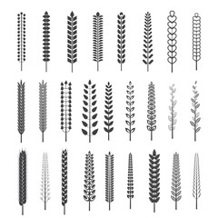 Set of spica brushes