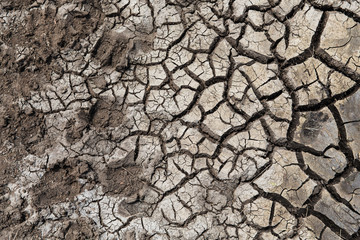 dry cracked ground surface