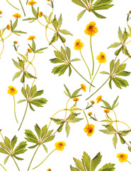 Seamless floral pattern with yellow flowers