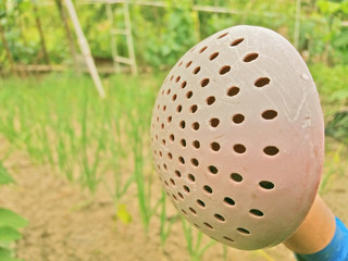 Plastic watering can 