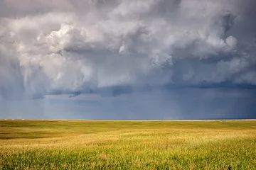 Foto op Plexiglas Prairie storm clouds © Stephen Anderson