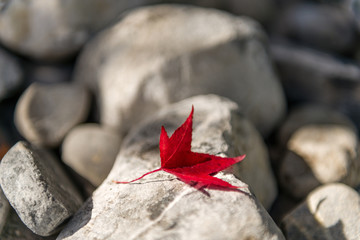 Solitudine © Pasquale