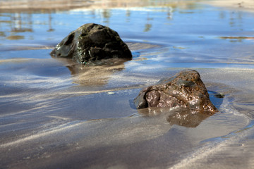 Текстура морского песка и камней.