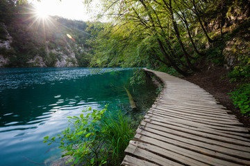 Fototapeta na wymiar Wooden path across beautiful lake in sunny green forest