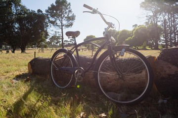 Fototapeta na wymiar Bicycle parked in the park