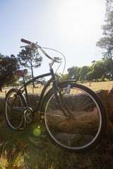 Fototapeta na wymiar Bicycle parked in the park