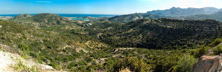 Fototapeta premium Greece, Crete, olive orchard on the hills with sea in the view