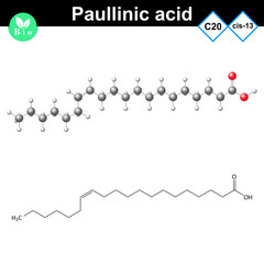 Paullinic unsaturated fatty acid molecule