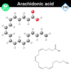 Arachidonic unsaturated fatty acid molecule