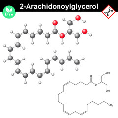 2- Arachidonoylglycerol endocannabinoid chemical formula