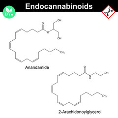 Endocannabinoids chemical molecular structures