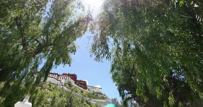 4k Potala with willow in Lhasa,Tibet.