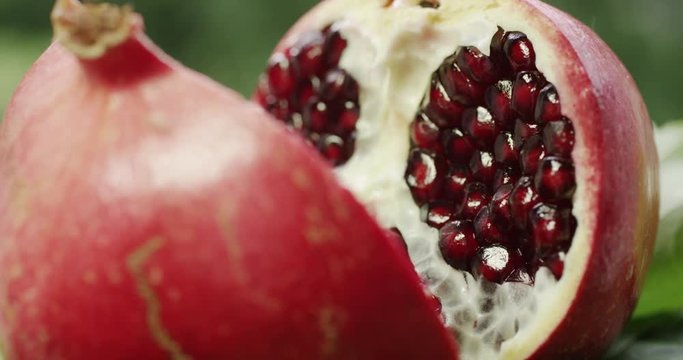 pomegranate fruit cut open and spinning