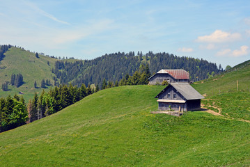 Fototapeta na wymiar Alp Scharteggli, Gersau
