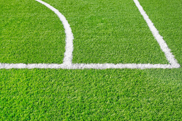 Obraz premium Sports field with white line