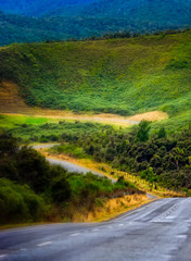 ROAD TO MILFORD SOUND