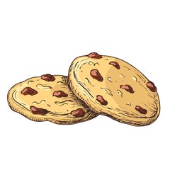 Sketch colorful graphic cookies illustration, draft silhouette drawing, isolated on white background. Delicious vintage etching food design.