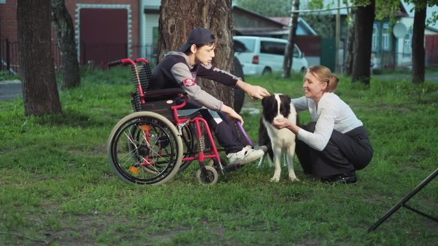 Mother walks with her son in a wheelchair with a dog